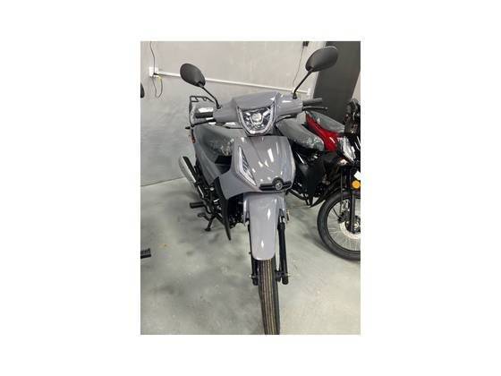 SHINERAY PHOENIX S 50 SHINERAY PHOENIX S 50